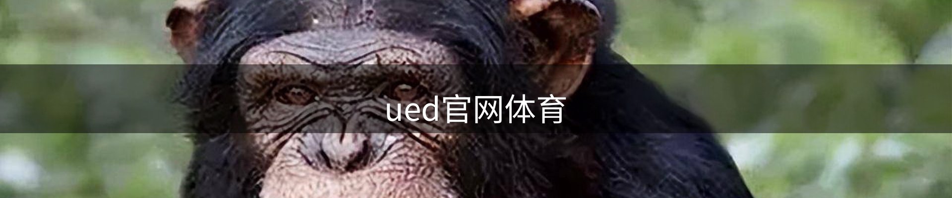 ued官网体育